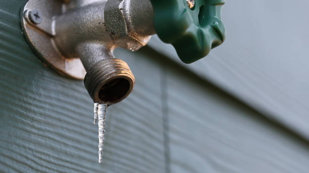 Best Plumbing Services Near Me  in Ivey, GA